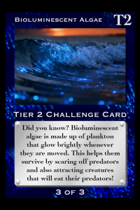 Bioluminescent Algae