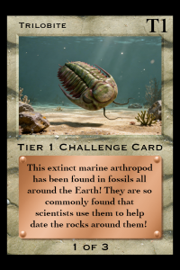 Trilobite